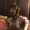 swhitegsp